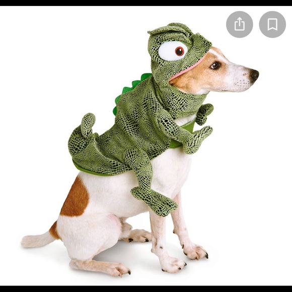 tangled dog costume